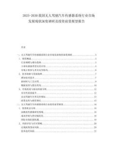 2025-2030我國無人駕駛汽車傳感器系統(tǒng)行業(yè)市場發(fā)展現(xiàn)狀深度調(diào)研及投資前景展望報告