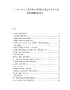 2025-2030文化娛樂行業風險投資推進研究及投資融資策略分析報告