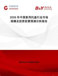 2026年中國家用托盤行業市場規模及投資前景預測分析報告