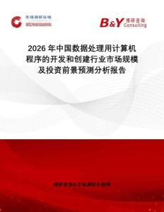 2026年中國數據處理用計算機程序的開發和創建行業市場規模及投資前景預測分析報告
