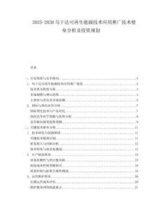 2025-2030烏干達可再生能源技術應用推廣技術壁壘分析及投資規劃