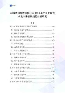 超薄透明果凍涼鞋行業(yè)2026年產業(yè)發(fā)展現狀及未來發(fā)展趨勢分析研究