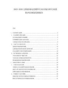 2025-2030文娛游戲電競硬件行業市場分析行業投資評估規劃發展報告