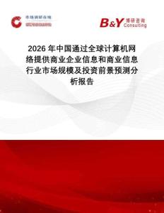 2026年中國通過全球計算機網(wǎng)絡提供商業(yè)企業(yè)信息和商業(yè)信息行業(yè)市場規(guī)模及投資前景預測分析報告