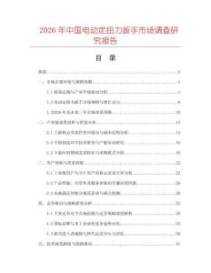 2026年中國電動定扭力扳手市場調查研究報告