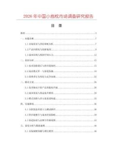 2026年中國小抱枕市場調查研究報告