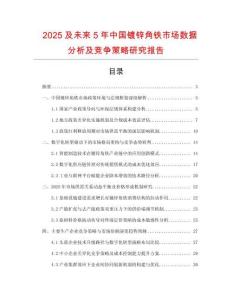 2025及未來(lái)5年中國(guó)鍍鋅角鐵市場(chǎng)數(shù)據(jù)分析及競(jìng)爭(zhēng)策略研究報(bào)告