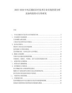 2025-2030中風后遺癥治療技術行業(yè)市場供需分析及加碼投資可行性研究