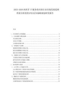2025-2030西班牙IT服務供應商行業市場發展趨勢供需分析投資評估競爭戰略規劃研究報告