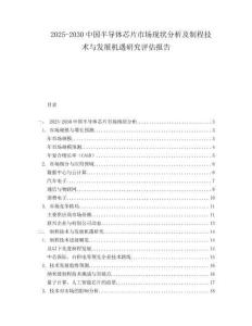 2025-2030中國(guó)半導(dǎo)體芯片市場(chǎng)現(xiàn)狀分析及制程技術(shù)與發(fā)展機(jī)遇研究評(píng)估報(bào)告