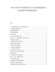 2025-2030中非共和國礦產加工業市場現狀需求分析及投資評估規劃研究報告