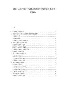 2025-2030中國(guó)半導(dǎo)體芯片行業(yè)技術(shù)突破及市場(chǎng)評(píng)估報(bào)告