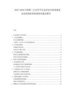 2025-2030中國第三方支付平臺運營安全體系建設及反洗錢監管政策優化建議報告