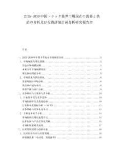 2025-2030中國トラック業界市場現在の需要と供給の分析及び投資評価計畫分析研究報告書