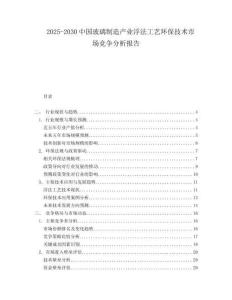 2025-2030中國玻璃制造產(chǎn)業(yè)浮法工藝環(huán)保技術(shù)市場競爭分析報告