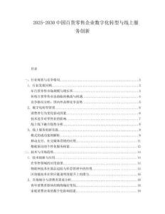 2025-2030中國百貨零售企業數字化轉型與線上服務創新