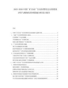 2025-2030中國廠礦企業廣告宣傳費用支出的績效評價與精細化管理措施分析設計報告