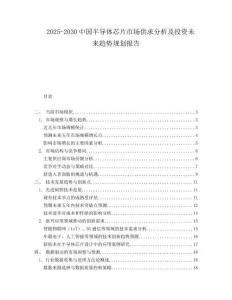 2025-2030中國半導體芯片市場供求分析及投資未來趨勢規(guī)劃報告