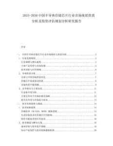 2025-2030中國半導體存儲芯片行業市場現狀供需分析及投資評估規劃分析研究報告
