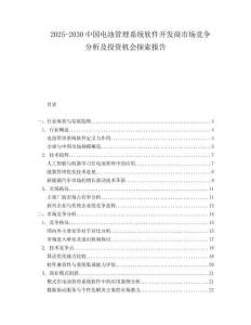 2025-2030中國電池管理系統軟件開發商市場競爭分析及投資機會探索報告