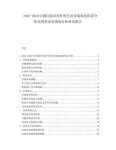 2025-2030中國比特幣挖礦機行業(yè)市場現(xiàn)狀供需分析及投資評估規(guī)劃分析研究報告
