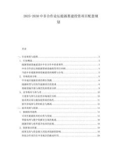 2025-2030中非合作論壇能源基建投資項(xiàng)目配套規(guī)劃