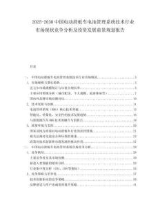 2025-2030中國(guó)電動(dòng)滑板車電池管理系統(tǒng)技術(shù)行業(yè)市場(chǎng)現(xiàn)狀競(jìng)爭(zhēng)分析及投資發(fā)展前景規(guī)劃報(bào)告