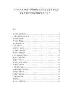 2025-2030中國半導體存儲芯片設計行業市場競爭態勢供需現狀與發展規劃評估報告