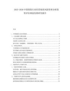 2025-2030中國保險行業經營現狀風險管理分析投資評估規劃發展研究報告