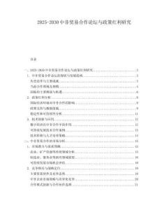 2025-2030中非貿易合作論壇與政策紅利研究