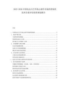 2025-2030中國電動大巴車核心部件市場供需現狀技術含量評估投資規劃報告