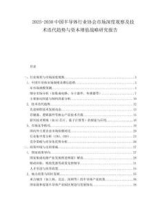 2025-2030中國半導體行業協會市場深度觀察及技術迭代趨勢與資本增值戰略研究報告