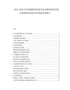 2025-2030中東智能照明設備行業市場環境競爭格局發展前景投資評估規劃咨詢報告