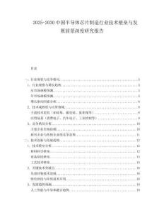 2025-2030中國半導體芯片制造行業(yè)技術(shù)壁壘與發(fā)展前景深度研究報告