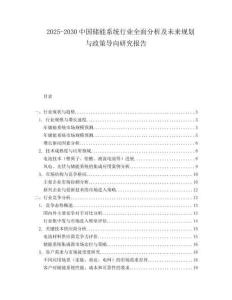 2025-2030中國儲能系統行業全面分析及未來規劃與政策導向研究報告