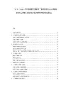 2025-2030中國道路橋梁隧道工程建設行業市場現狀供需分析及投資評估規劃分析研究報告