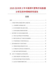 2025及未來5年中國荷葉野鴨市場數(shù)據(jù)分析及競爭策略研究報(bào)告
