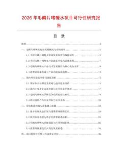 2026年毛鱗片啫喱水項(xiàng)目可行性研究報(bào)告