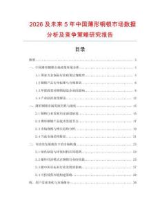 2026及未來5年中國(guó)薄形銅鎖市場(chǎng)數(shù)據(jù)分析及競(jìng)爭(zhēng)策略研究報(bào)告