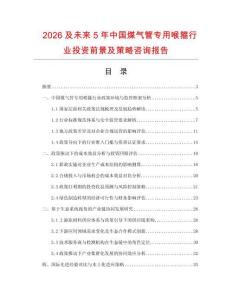 2026及未來(lái)5年中國(guó)煤氣管專用喉箍行業(yè)投資前景及策略咨詢報(bào)告