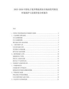2025-2030中國電子廢棄物處理業市場深度考察及環境保護與發展價值分析報告