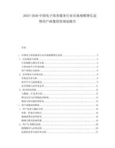 2025-2030中國電子商務(wù)服務(wù)行業(yè)市場規(guī)模增長態(tài)勢用戶畫像投資規(guī)劃報(bào)告