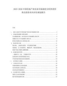 2025-2030中國房地產商實業市場現狀分析供需形勢及投資布局評估規劃報告
