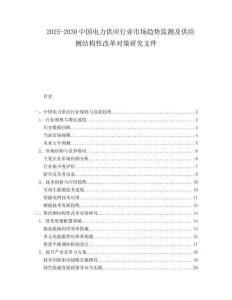 2025-2030中國電力供應行業市場趨勢監測及供給側結構性改革對策研究文件