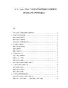 2025-2030中國電子商務監管政策現狀深度解析和合規化發展策略研究報告