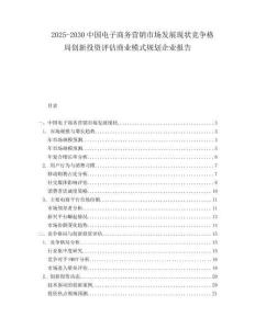 2025-2030中國電子商務營銷市場發展現狀競爭格局創新投資評估商業模式規劃企業報告