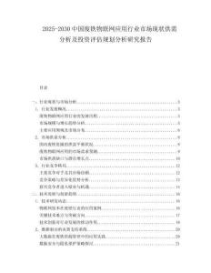 2025-2030中國(guó)廢鐵物聯(lián)網(wǎng)應(yīng)用行業(yè)市場(chǎng)現(xiàn)狀供需分析及投資評(píng)估規(guī)劃分析研究報(bào)告