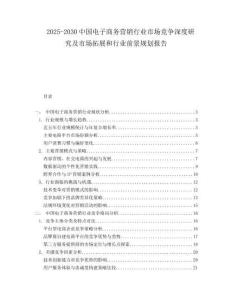 2025-2030中國電子商務營銷行業市場競爭深度研究及市場拓展和行業前景規劃報告