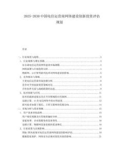 2025-2030中國電信運營商網絡建設創新投資評估規劃