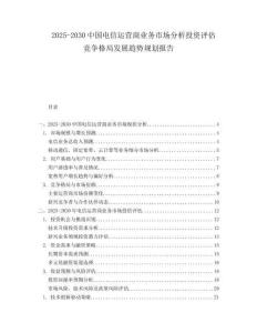 2025-2030中國(guó)電信運(yùn)營(yíng)商業(yè)務(wù)市場(chǎng)分析投資評(píng)估競(jìng)爭(zhēng)格局發(fā)展趨勢(shì)規(guī)劃報(bào)告